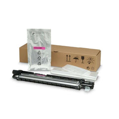 HP Unité de développement Magenta Original - 8JM73A