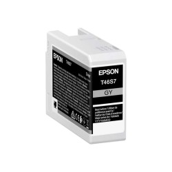 Epson T46S7 Cinzento Tinteiro Original - C13T46S700