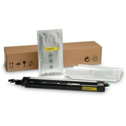 HP Unidad de Revelado Amarelo Original - 8JM72A